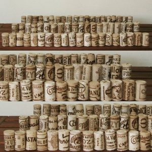 corchinos-de-gijon-de-sidra