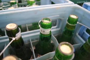 sidra-pariticipante-de-colunga