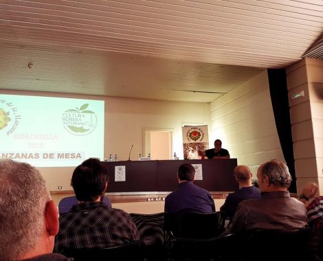 curso - club sierense