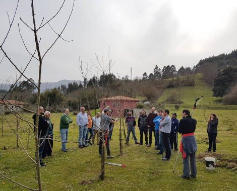 curso poda - miñarro
